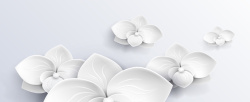 浮雕立体花朵墙白色花朵背景高清图片