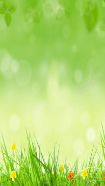 绿草鲜花H5素材背景背景