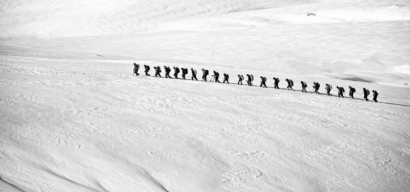 雪地上一排行走的人图片jpg设计背景_新图网 https://ixintu.com 大自然 白色 阳光 清新 雪地上 覆盖雪地 茂密排队 一排行走的人图片 海报banner 摄影 风景