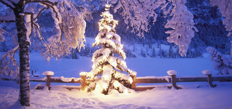 圣诞夜雪景背景
