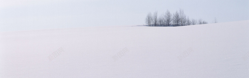 雪景背景图jpg设计背景_新图网 https://ixintu.com 树 冬天 雪 海报banner 摄影 风景