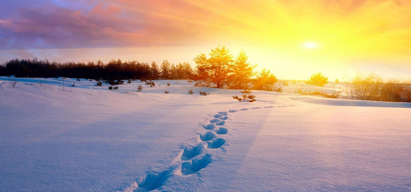 冬季雪地夕阳banner背景