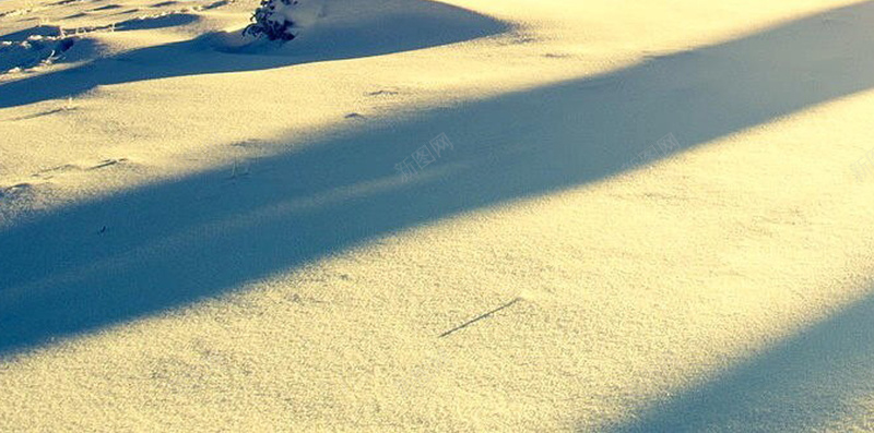 雪松林H5背景jpg设计背景_新图网 https://ixintu.com 大气 天空 彩色 群山 阳光 H5背景 雪松林 H5 h5