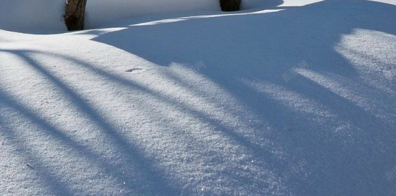 冬季的雪超清H5背景jpg设计背景_新图网 https://ixintu.com 天空 树木 雪地 白雪 蓝色 H5 h5 摄影 风景