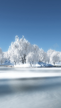 冬天雪地H5背景背景