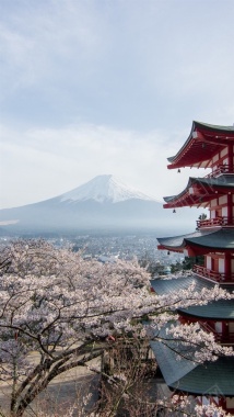樱花富士山H5背景背景