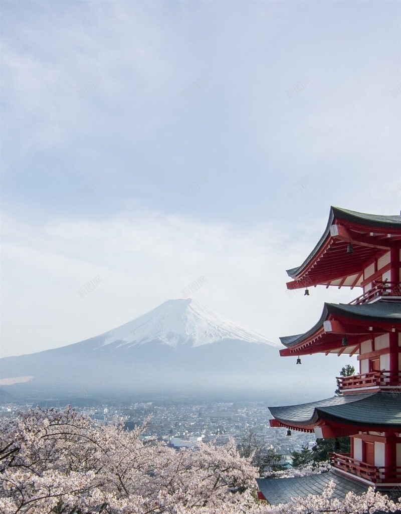 樱花富士山H5背景jpg设计背景_新图网 https://ixintu.com 樱花 天空 富士山 风景 彩色 H5背景 H5 h5 摄影