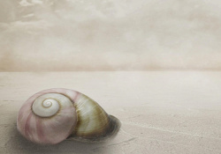 蜗牛纹理手绘蜗牛背景高清图片