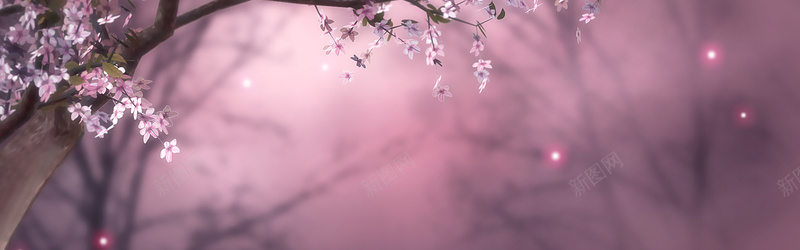 粉红桃花背景背景