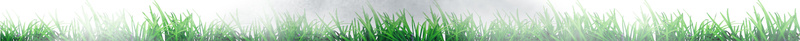 世界气象日节日海报背景素材psd设计背景_新图网 https://ixintu.com 地球 气象 环保 绿色 节日 世界气象日节日海报 天气
