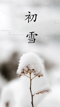 二十四节气冬天立冬小雪雪枯枝背景