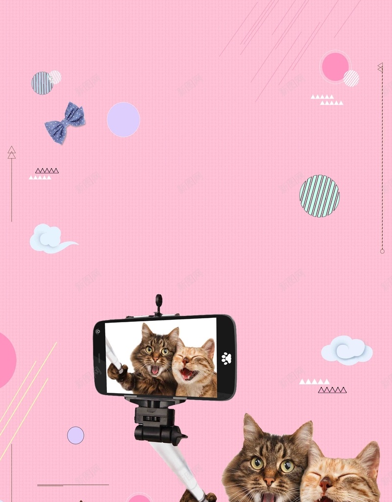 简约带我回家宠物领养公益psd设计背景_新图网 https://ixintu.com 做一生的陪伴 关爱小动物 呵护 宠物之家 宠物领养 带 流浪动物救助站 给它温暖 陪伴关怀 领养 领养流浪动物