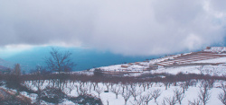 多雪的冬季景观冬季景观高清图片