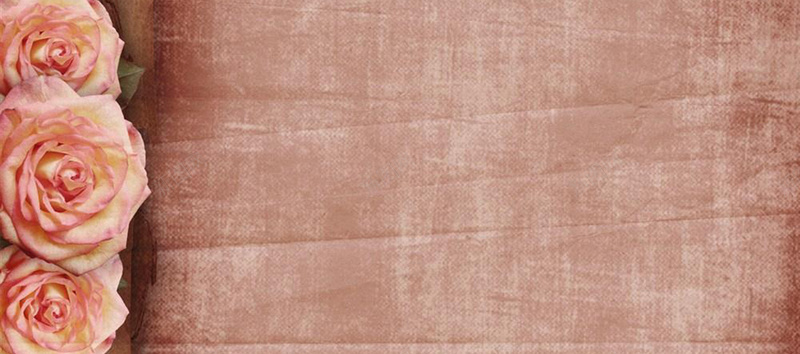 粉色花朵木板背景图jpg设计背景_新图网 https://ixintu.com 文艺 浪漫 玫瑰 粉色 纹理 海报banner 质感
