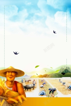 小米海报设计五谷杂粮丰收稻米小麦海报背景高清图片