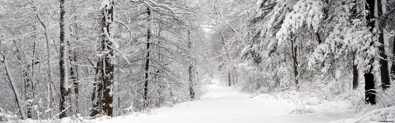 冬天雪树海报背景图jpg设计背景_新图网 https://ixintu.com 淘宝背景 天猫背景 海报素材 男装 女装 家电器械 摄影风景 冬天 雪 树 海报banner 摄影 风景