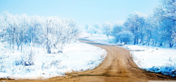 道路两旁的树冬季雪景背景高清图片