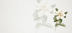 素白素白花朵质感纹理清新文艺手绘淘宝背景高清图片