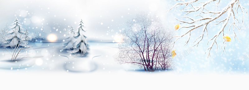 白色冬季圣诞背景背景