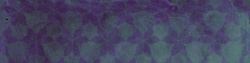 美观纹理蓝紫色叶片花纹背景高清图片