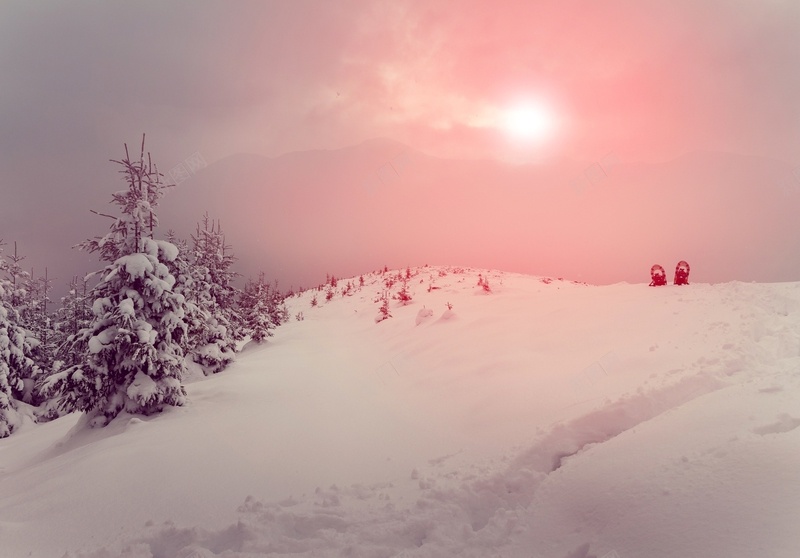 浪漫的冬日美景jpg设计背景_新图网 https://ixintu.com 粉色 太阳 树 雪