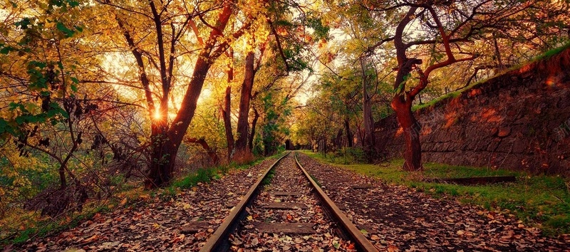 秋季唯美铁道小路背景背景