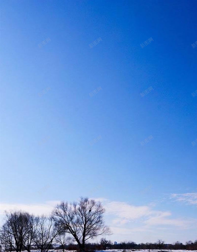 湖边风光H5背景jpg设计背景_新图网 https://ixintu.com 雪 天空 蓝天 风景 彩色 H5背景 树 水面 H5 h5 摄影