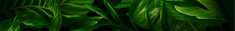 草本绿色植物化妆品背景jpg设计背景_新图网 https://ixintu.com 草本 绿色 植物 化妆品 背景