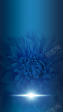 大气蓝色花朵高贵酒化妆品背景素材背景