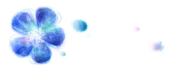 美容网站素材蓝色花朵背景高清图片