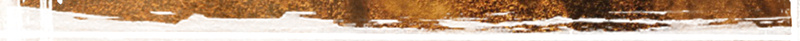 向往自由的海报宣传psd设计背景_新图网 https://ixintu.com 黄色 动物 黄沙 隔壁 荒凉 激情高兴 乐观棕色 摄影 风景