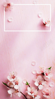 粉色浪漫鲜花H5背景背景