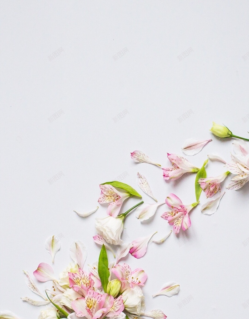 小清新粉色花朵H5背景jpg设计背景_新图网 https://ixintu.com 咖啡杯 小清新 文艺 白色 花卉 H5背景 H5 h5 简约