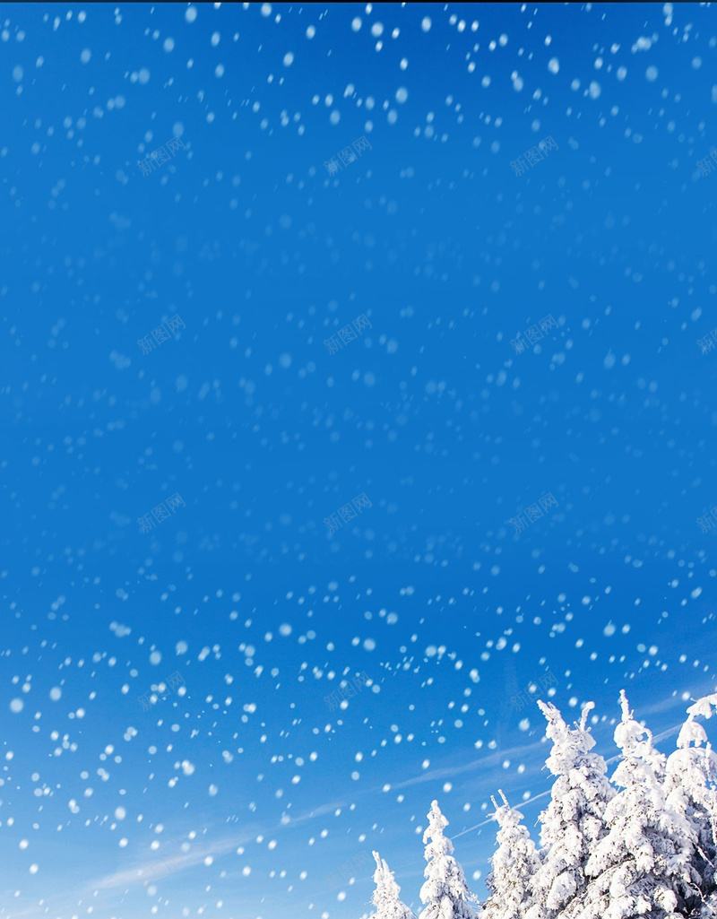 冬天雪松背景jpg设计背景_新图网 https://ixintu.com 寒冰背景 寒冷天气 大雪 雪 积雪 寒冰天气 雪松 雪雾 摄影 风景