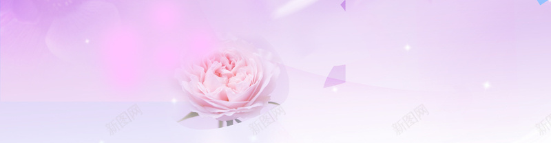美容背景bannerpsd设计背景_新图网 https://ixintu.com 美容 花 粉红 化妆品banner 海报banner 文艺 小清新 简约