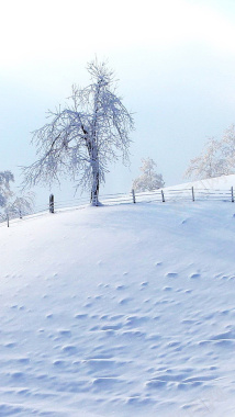 冬季风景白色H5背景背景