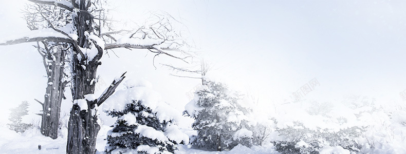 冬季积雪背景jpg设计背景_新图网 https://ixintu.com 详情页海报 冬季 树木 积雪 雪景 大气