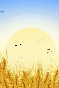 小麦种植风景小麦简约矢量清新背景高清图片