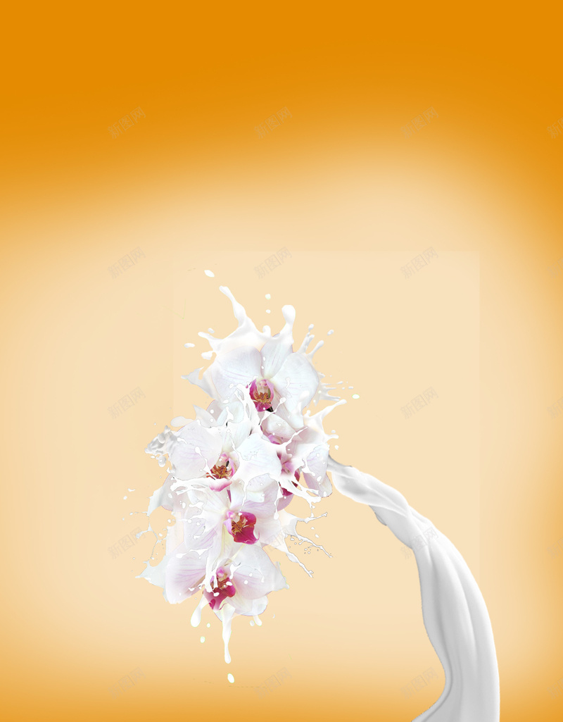 牛奶花简约海报背景素材psd设计背景_新图网 https://ixintu.com d分层素材 牛奶花 其他 桃花 橘黄 牛奶花素材下载 牛奶花模板下载 奶波 psd分层素材 源文件