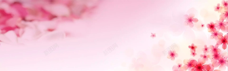 粉色樱花背景jpg设计背景_新图网 https://ixintu.com 海报banner 樱花节 樱花 浪漫 粉色 梦幻