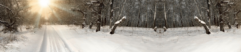 电商冬季服饰背景bannerjpg设计背景_新图网 https://ixintu.com anner 冬季 服饰 电商 背景 banner 雪上 树林 海报banner 其他