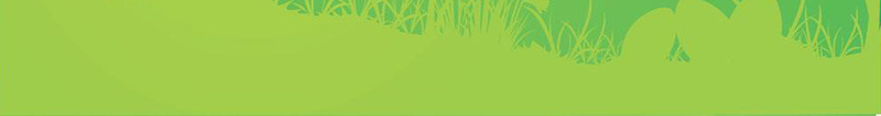 扁平化植树节绿色环保公益海报背景素材jpg设计背景_新图网 https://ixintu.com 扁平化 植树节 树木 简约 绿色 兔子 草地 公益 环保 背景 素材