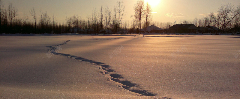 黄昏雪地脚印背景jpg设计背景_新图网 https://ixintu.com 枯树枝 排列 脚印 阳光 海报banner 黄昏雪地脚印背景 摄影 风景