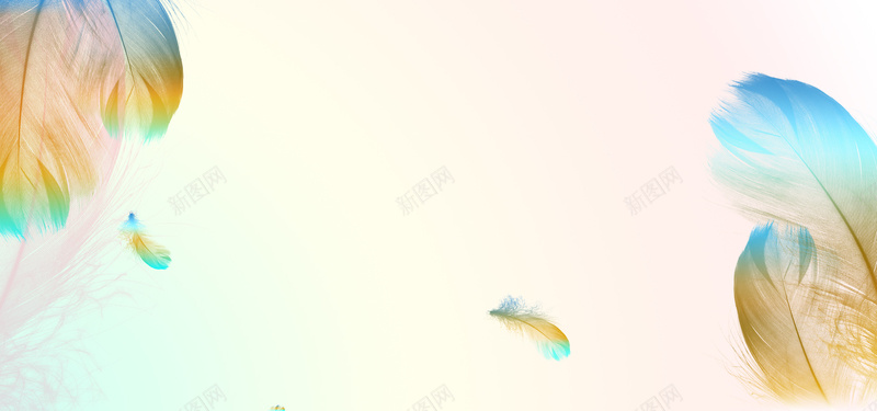 清新背景简约羽毛psd设计背景_新图网 https://ixintu.com 简约图片 素材 羽毛 背景 风格 花朵 色彩 现代 清新