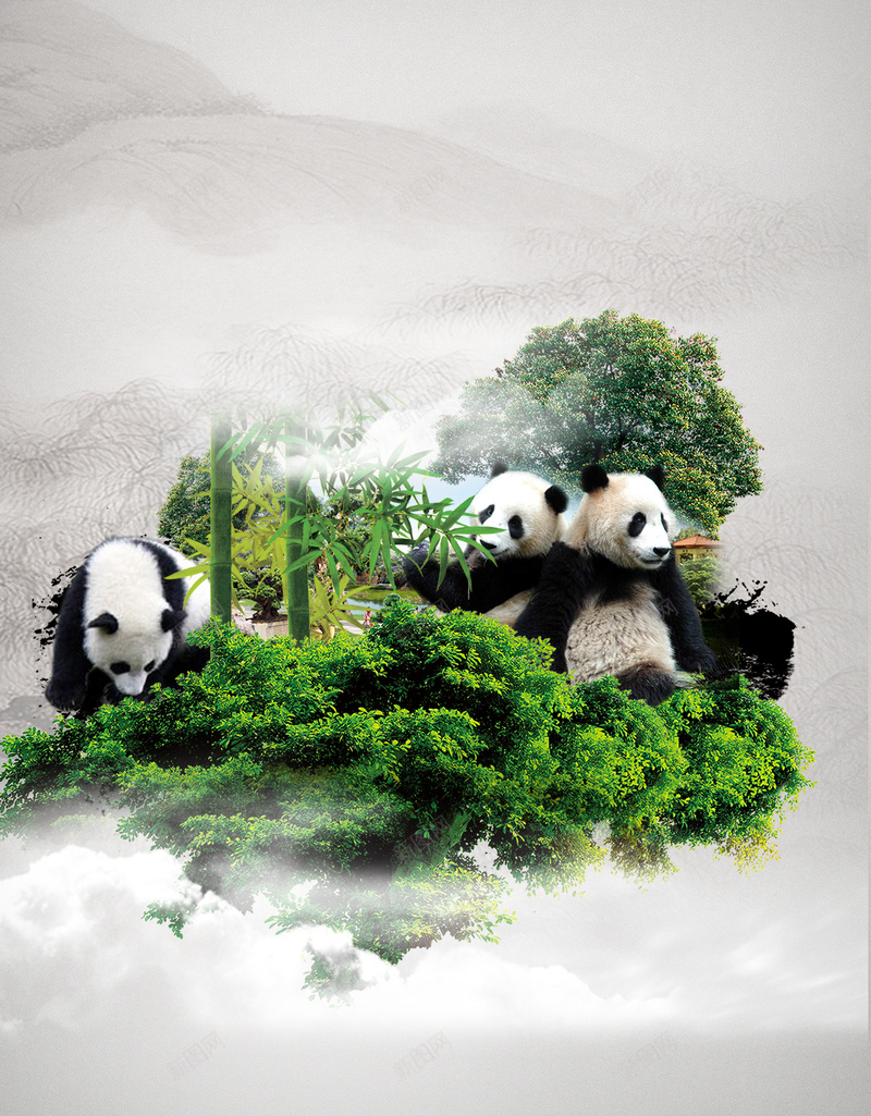 熊猫海报背景jpg设计背景_新图网 https://ixintu.com 熊猫 绿色 大气