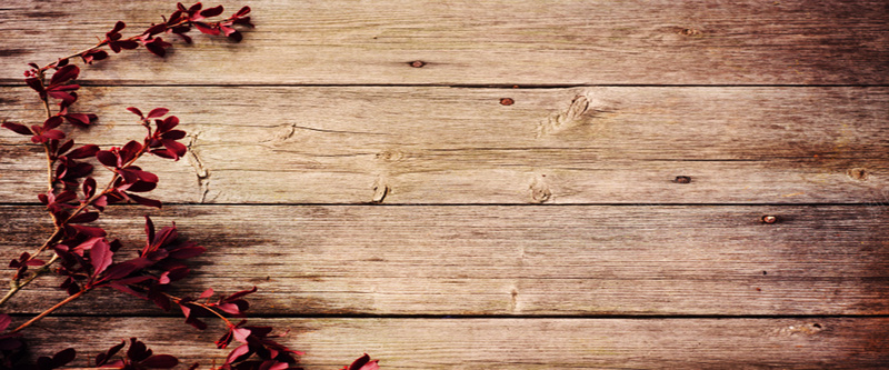 淘宝冬季背景背景图片素材jpg设计背景_新图网 https://ixintu.com 花朵 女装 木板底纹 质感 纹理 女包 海报banner