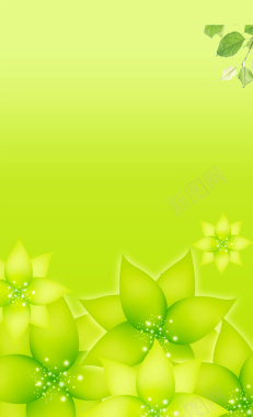 绿色花卉背景背景