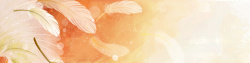 其他鲜花高清炫彩羽毛banner背景高清图片