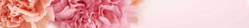 感恩母亲节jpg设计背景_新图网 https://ixintu.com 感恩母亲节 粉红色 光效 白色 花朵 唯美海报设计 文艺 小清新 简约