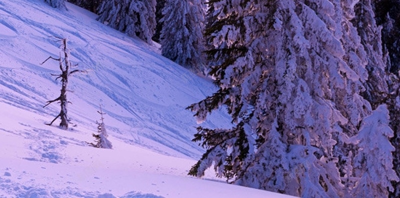 马里布H5背景jpg设计背景_新图网 https://ixintu.com 雪山 树木 雪地 彩霞 天空 H5 h5 摄影 风景